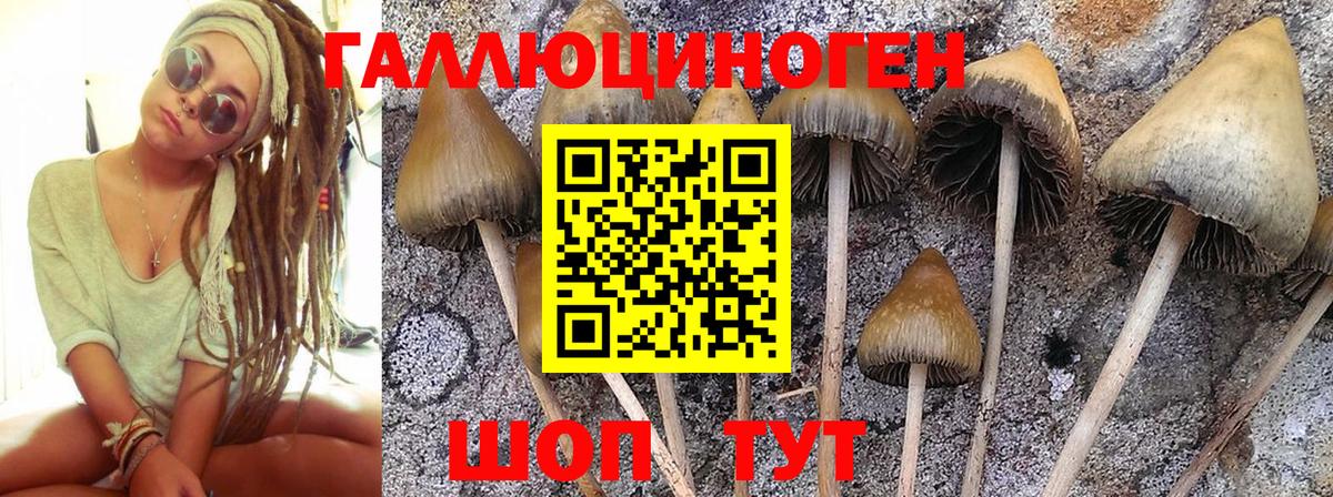 Галлюциногенные грибы MAGIC MUSHROOMS Кирово-Чепецк